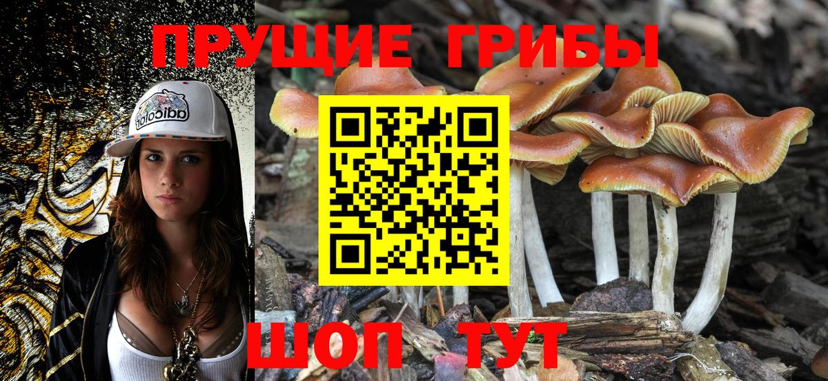 Асино  цены наркотик  Вход с VPN  Галлюциногенные грибы Cubensis 